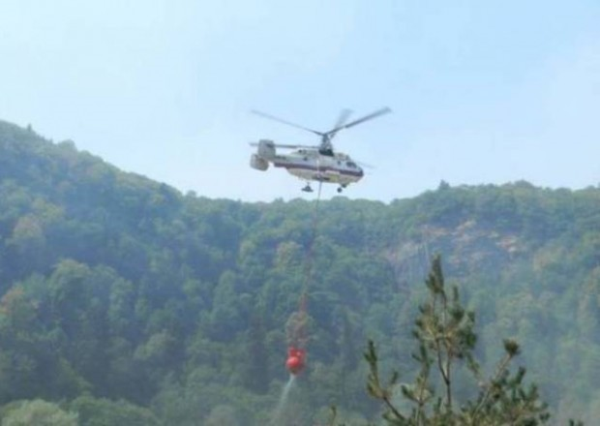 Qəbələdə meşə yanğınları söndürülür